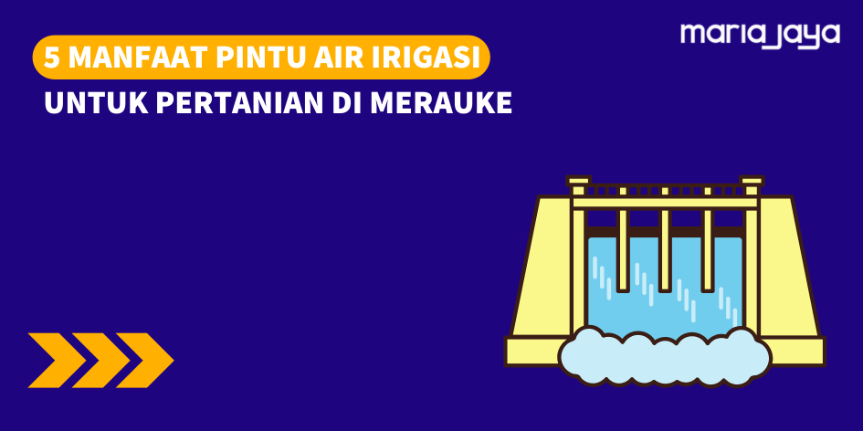 5 Manfaat Pintu Air Irigasi untuk Pertanian di Merauke