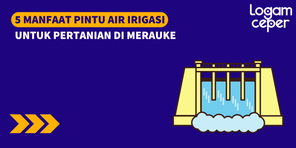 5 Manfaat Pintu Air Irigasi untuk Pertanian di Merauke