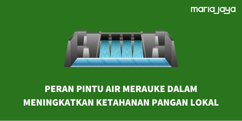 Peran Pintu Air Merauke dalam Meningkatkan Ketahanan Pangan Lokal