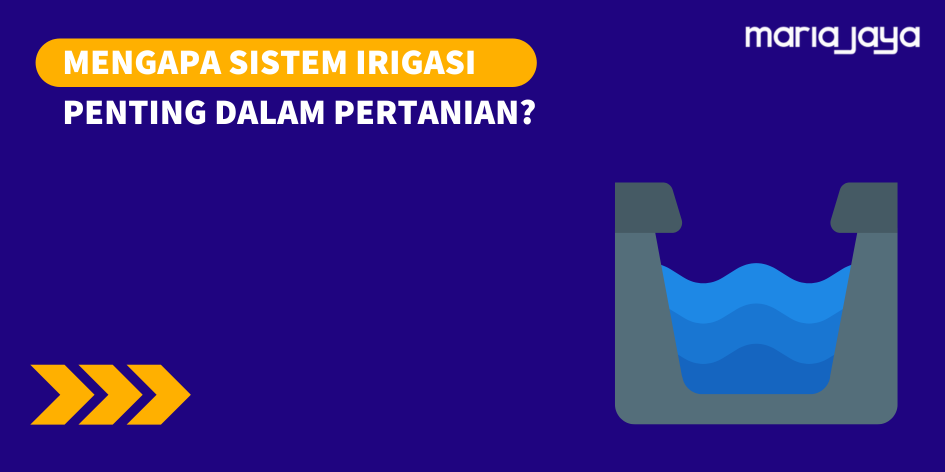 Pentingnya Irigasi dalam Pertanian: Kunci Panen Maksimal di Setiap Musim