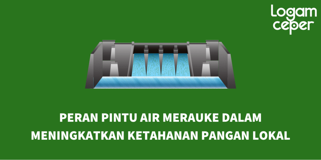 Peran Pintu Air Merauke dalam Meningkatkan Ketahanan Pangan Lokal